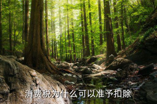 外購(gòu)的汽油柴油消費(fèi)稅為什么可抵扣，cpa稅法中15年真題外購(gòu)汽油90用于公司運(yùn)送旅客可以抵扣90