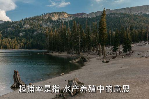 起捕率是指 水產養(yǎng)殖中的意思