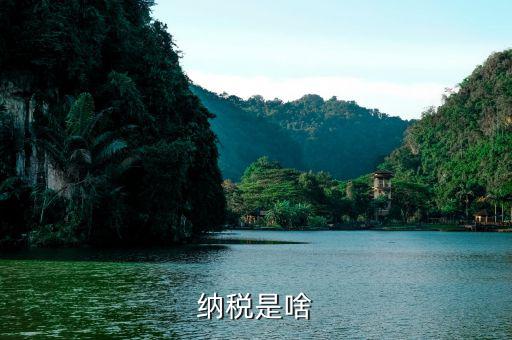 什么叫納稅，什么是納稅 六年級數(shù)學(xué)