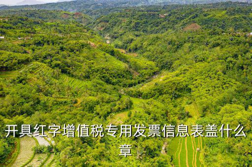 發(fā)票章什么樣子，開具紅字增值稅專用發(fā)票信息表蓋什么章