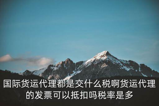 貨代公司交什么稅，國際貨運(yùn)代理都是交什么稅啊貨運(yùn)代理的發(fā)票可以抵扣嗎稅率是多