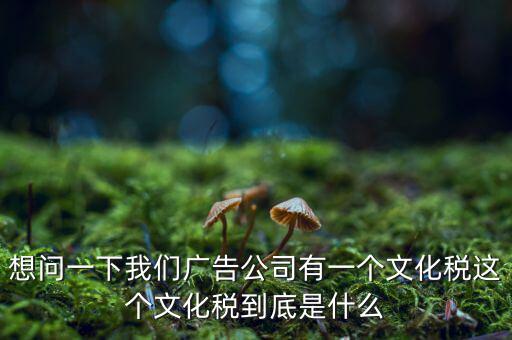 什么是稅務(wù)文化，和諧地稅文化的內(nèi)涵應(yīng)包括哪些方面