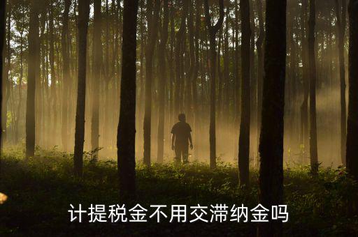 什么稅沒有滯納金，各種稅的滯納金一樣么