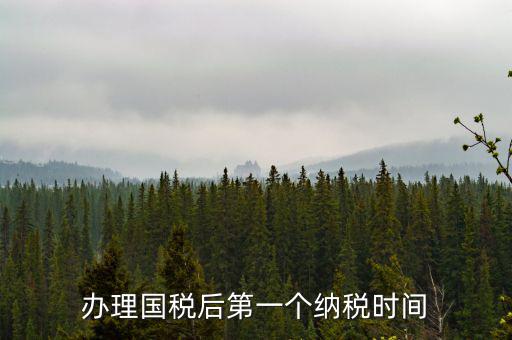報(bào)稅后什么時(shí)候交稅，辦理國稅后第一個(gè)納稅時(shí)間