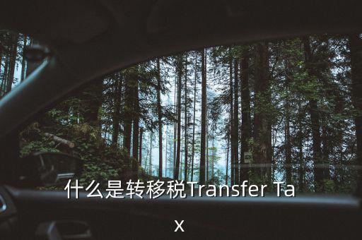 什么是跨地區(qū)稅收轉移企業(yè)，什么是轉移稅Transfer Tax