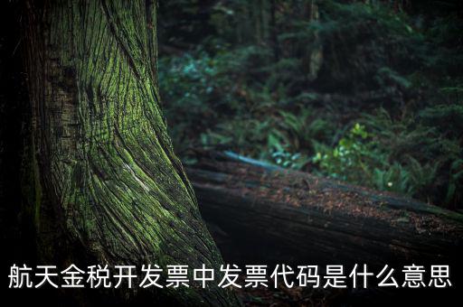 增值稅的航天編碼是什么，航天金稅 自動(dòng)開票 怎么獲取 發(fā)票代碼 發(fā)票號(hào)碼