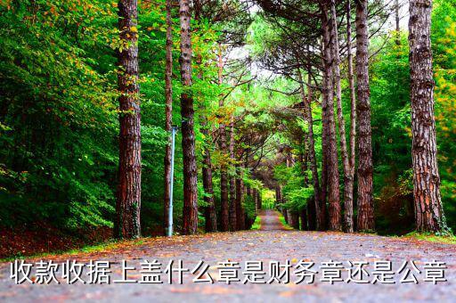 收據(jù)加蓋什么章，收據(jù)蓋什么章有規(guī)定嗎