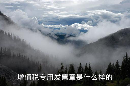 發(fā)票專用章什么樣子，增值稅專用發(fā)票章是什么樣的