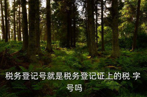 稅務(wù)登記證是什么字體，稅務(wù)登記證上的這是什么字體