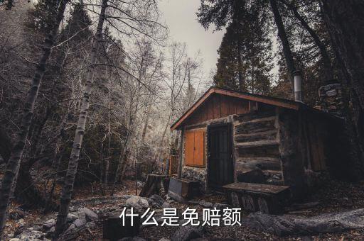 什么是免抵調庫，什么叫保險理賠免調查件