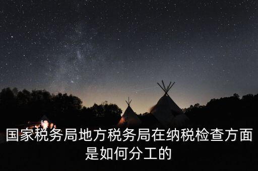 地方稅務(wù)局一案雙查是什么意思，國(guó)稅局一二稽查大隊(duì)是何意思