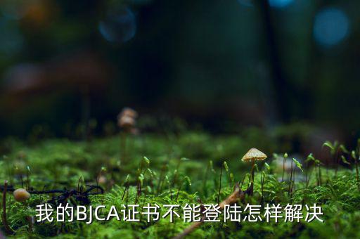 為什么ca證書不能登錄，我的BJCA證書不能登陸怎樣解決