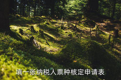 交票種核定表是什么，納稅人領購發(fā)票票種核定申請表如何填寫