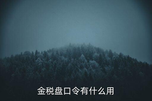 報(bào)稅數(shù)字證書口令是什么，陜西天暢偉業(yè)的網(wǎng)上報(bào)稅系統(tǒng)的登錄口令是什么