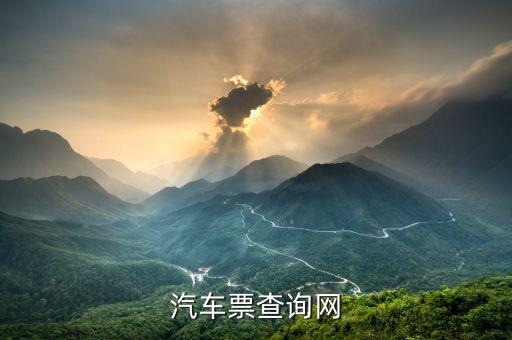 查汽車(chē)發(fā)票什么網(wǎng)站，什么軟件可以查詢(xún)汽車(chē)票
