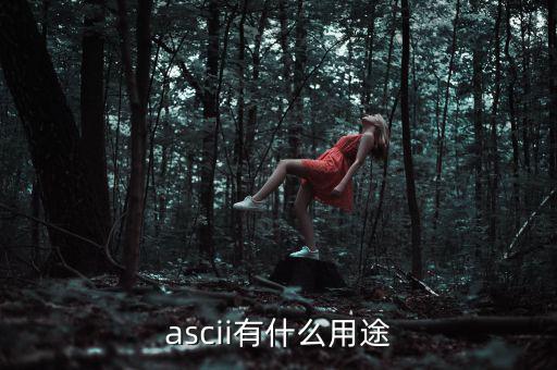 稅優(yōu)識別碼有什么用，ascii有什么用途