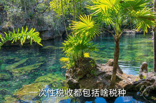 什么叫一次性稅源，稅收一次性因素有哪些