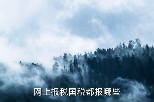 國稅申報什么，國稅局是報什么稅