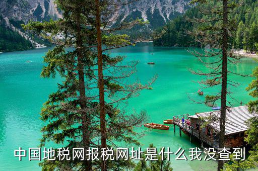 中國(guó)地稅網(wǎng)報(bào)稅網(wǎng)址是什么我沒查到