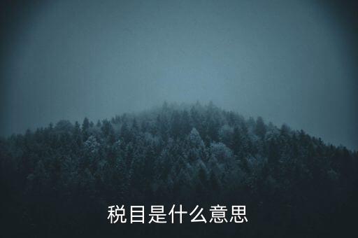 增值稅稅目是什么，增值稅是什么稅是什么