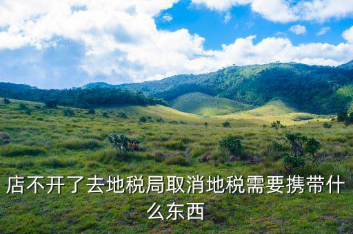 去地稅作廢申報(bào)需要帶什么手續(xù)，去地稅局辦撤回個(gè)人所得稅申報(bào)用帶什么