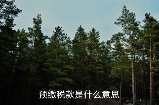 已預繳稅費指什么，預繳稅款是什么意思