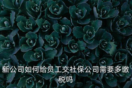 公司交社保要交什么稅，企業(yè)為員工交養(yǎng)老保險要不要交稅的