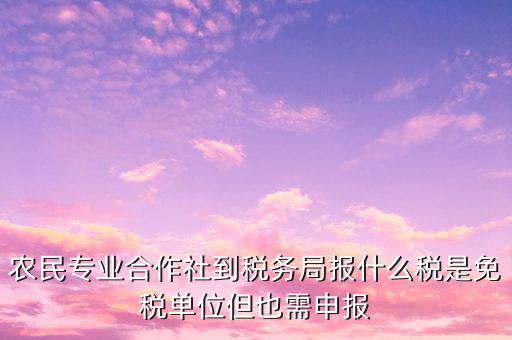 農(nóng)村合作社交什么稅，農(nóng)民合作社每個月要申報(bào)什么稅