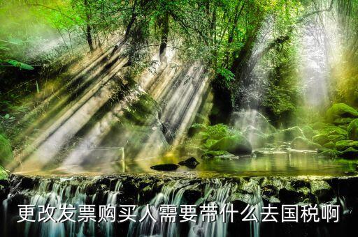 更改發(fā)票價格需要帶上什么東西，變更發(fā)票購買人需要帶什么東西去稅務局