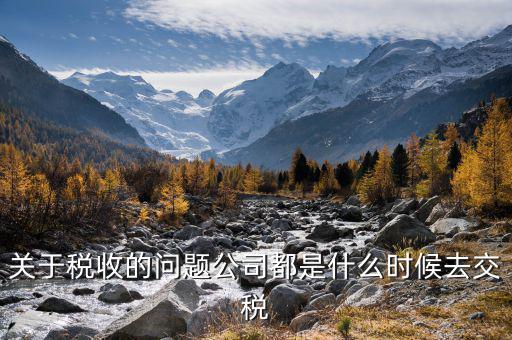 每個什么時候交稅，關于稅收的問題公司都是什么時候去交稅