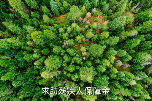 殘疾人保障金什么意思，求助殘疾人保障金