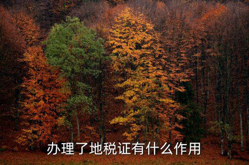 地稅局作用是什么，地稅局給我們帶來了哪些好處