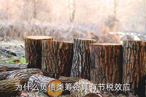 什么是節(jié)稅，為什么負(fù)債類籌資具有節(jié)稅效應(yīng)