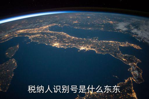 企業(yè)稅務(wù)識別號是什么意思，稅納人識別號是什么東東