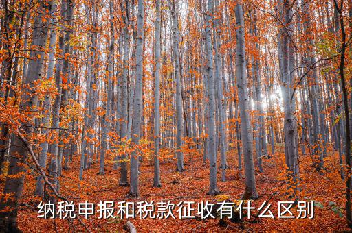 什么是申報征收，什么是房產(chǎn)稅的申報繳納