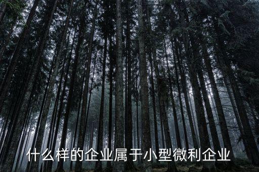 什么屬于小微企業(yè)，小微企業(yè)是什么
