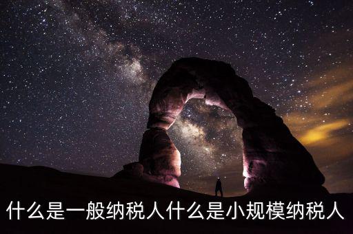 什么企業(yè)是一般納稅人，什么叫一般納稅人我如何辨別自己公司是否是一般納稅人