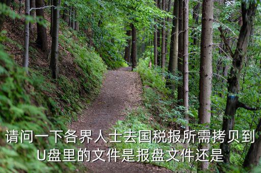 稅務(wù)報盤文件是什么，請問一下各界人士去國稅報所需拷貝到U盤里的文件是報盤文件還是