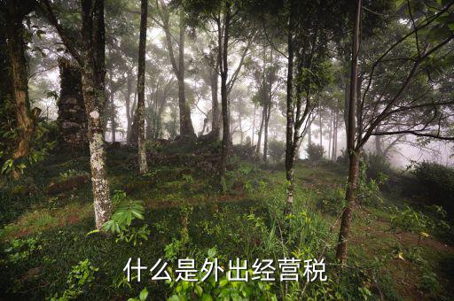 什么是外出經(jīng)營(yíng)，什么情況屬于外出經(jīng)營(yíng)