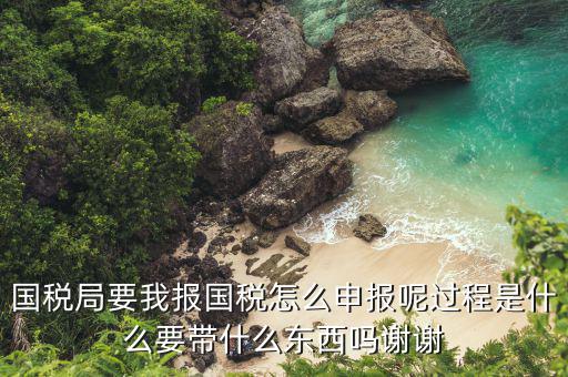 國(guó)稅局要我報(bào)國(guó)稅怎么申報(bào)呢過程是什么要帶什么東西嗎謝謝
