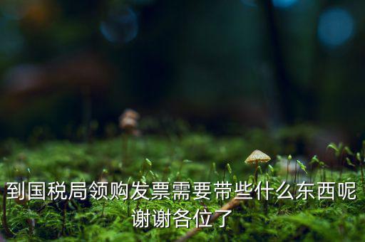 國稅局領(lǐng)票帶什么東西，去稅務(wù)局領(lǐng)發(fā)票需要帶什么資料去
