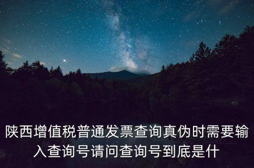 陜西增值稅普通發(fā)票查詢真?zhèn)螘r(shí)需要輸入查詢號(hào)請(qǐng)問(wèn)查詢號(hào)到底是什