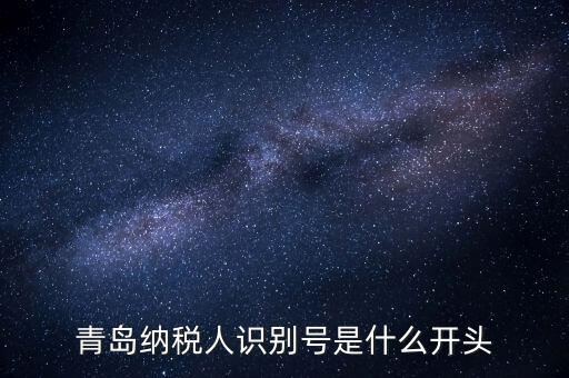 納稅人識別號什么開頭，納稅人識別號330100開頭的是哪個地方的