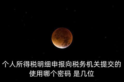 個人所得稅明細(xì)申報向稅務(wù)機關(guān)提交的使用哪個密碼 是幾位