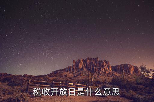 國稅開放日是什么意思，稅收開放日是什么意思