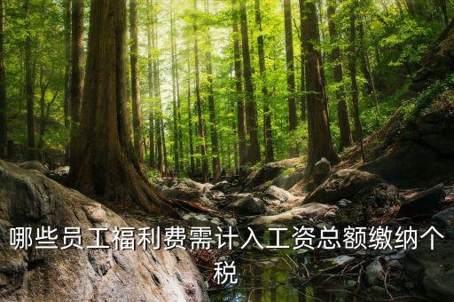 什么樣的福利費(fèi)要交個(gè)稅，什么樣的福利費(fèi)不需要交納個(gè)人所得稅呢