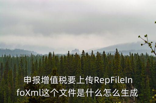 申報(bào)增值稅要上傳RepFileInfoXml這個文件是什么怎么生成
