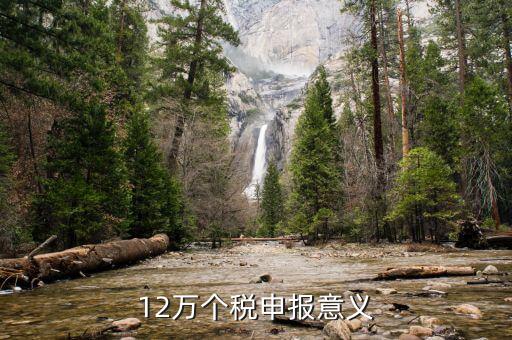 12萬(wàn)為什么個(gè)稅申報(bào)表，12萬(wàn)以上個(gè)人所得稅申報(bào)是什么意思