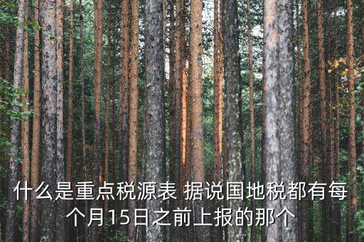 稅源監(jiān)控表是什么，股東股權(quán)變更稅源監(jiān)控登記表怎么填寫