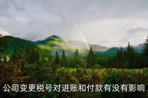 稅號變更是什么意思，公司變更稅號對進賬和付款有沒有影響